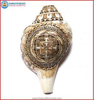 "Mandala" Carved Natural Conch Shell