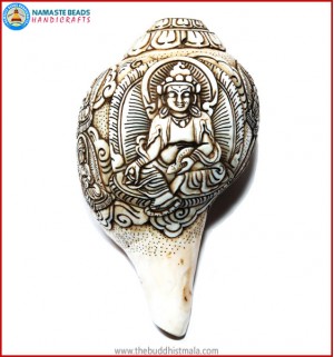 "Zambala Buddha" Carved Natural Conch Shell