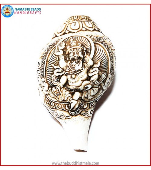 "Kal Bhairab" Natural Conch Shell