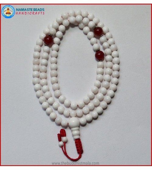 Conch Shell Mala With Carnelian Spacer Beads 