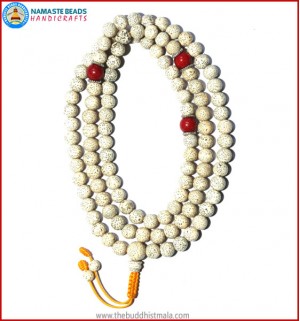 Lotus Seed Mala with Coral Spacer Beads